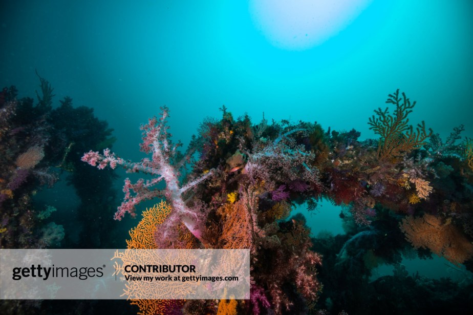 The concrete block is an anti symbol of&nbsp;nature?